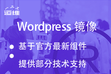 Wordpress企业建站系统_官方最新中文纯净版